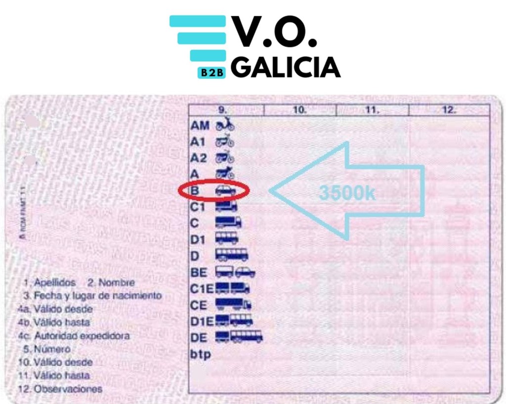 Qué furgonetas puedes conducir con carnet B: MMA, plazas y límites