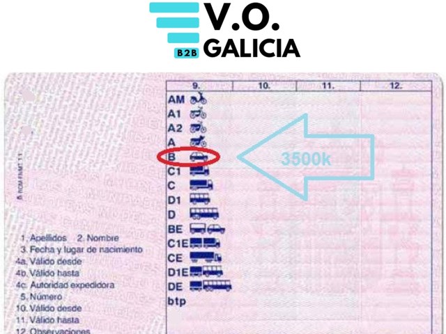 Qué furgonetas puedes conducir con carnet B: MMA, plazas y límites