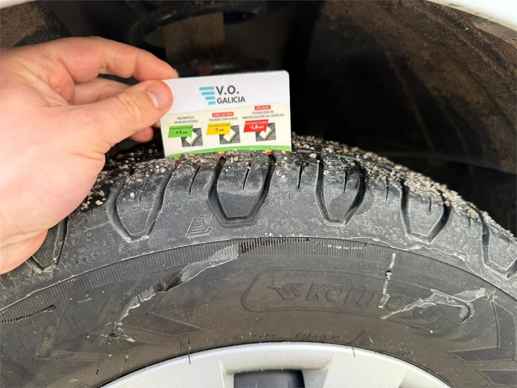 Foto 20 RENAULT-TRAFIC COMBI 9 PLAZAS LRK